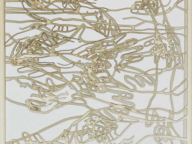 JELENA TRAJKOVIĆ POPIVODA, Život je igra – Pleši na svoj&nbsp;način