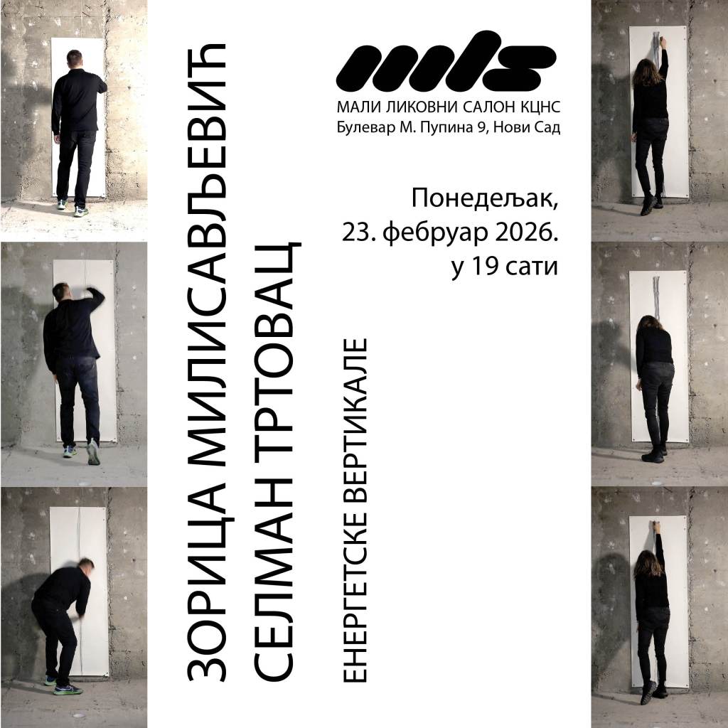 ZORICA MILISAVLJEVIĆ I SELMAN TRTOVAC, Energetske&nbsp;vertikale